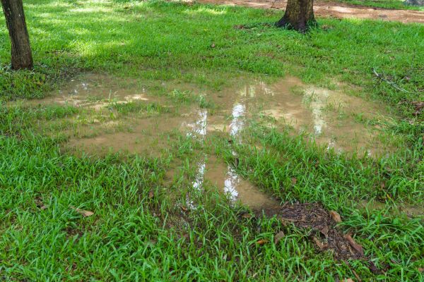 Cost of Storm Water Drainage Service in Bainbridge Island