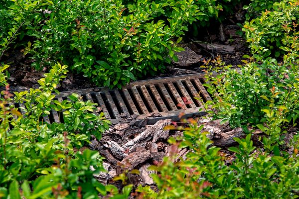 Cost of Underground Drainage Service in Bainbridge Island