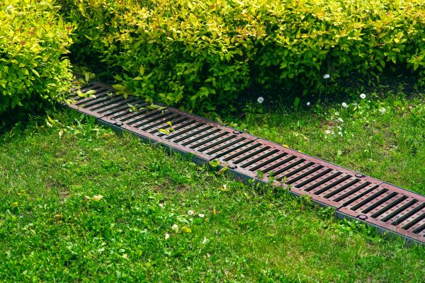 Cost of Lawn Drainage in Bainbridge Island