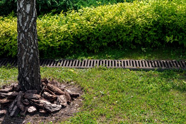 Cost of Garden Drainage Installation in Bainbridge Island