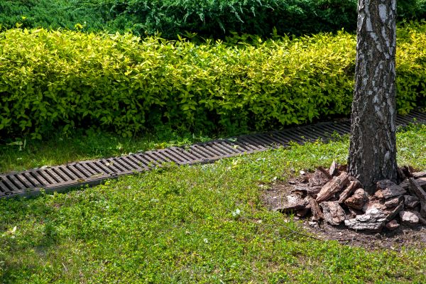 Cost of Residential Landscape Drainage in Bainbridge Island