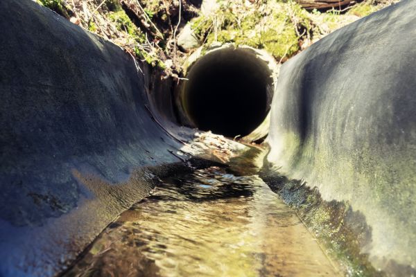 Drainage Swale Installation in Bainbridge Island