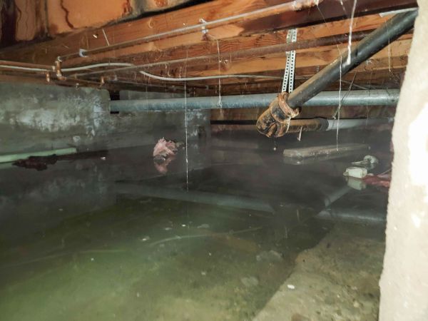 Cost of Crawlspace Drainage in Bainbridge Island