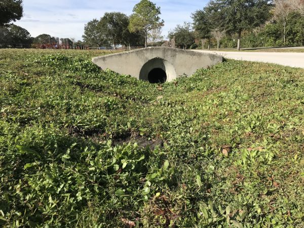 Cost of Swale Drainage Service in Bainbridge Island